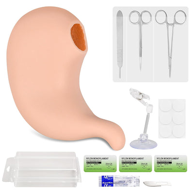 Modèle de suture de l'estomac creux