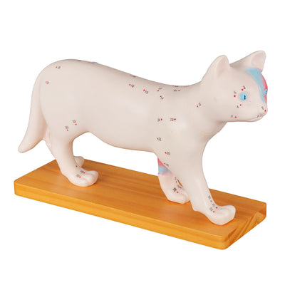Acupuncture Cat Model with 36 Acupuncture Points
