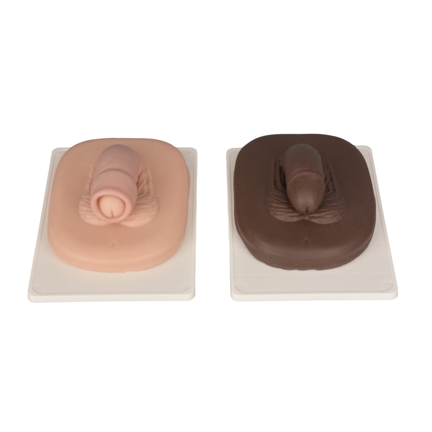 Adult Male Circumcision Simulator Trainer - Light & Dark Skin Tone
