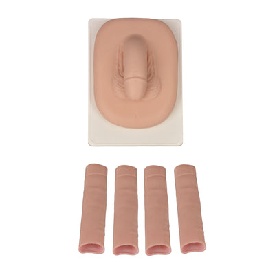 Adult Male Circumcision Trainer