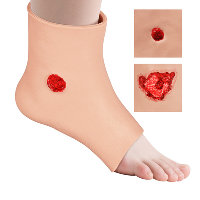 Ankle Gunshot Entry & Exit Wound Trainer