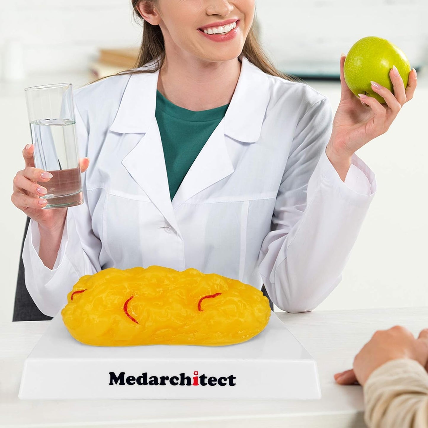 Fat Mass Model for Classroom Use