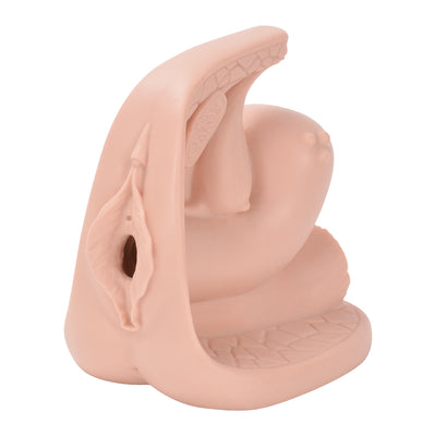 Female Contraceptive Model Education Training Kit