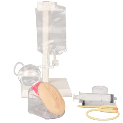 Female Urinary Catheterization Simulator Set