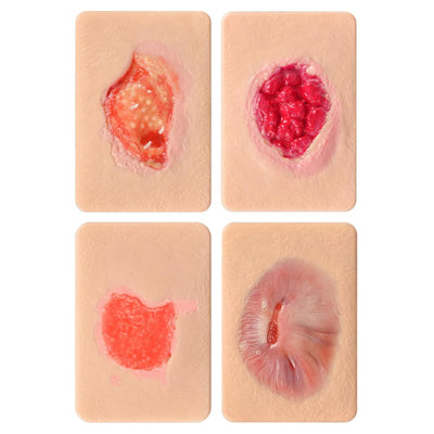 Granulation Tissue Wound Simulation Model Set