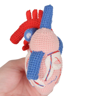 Handmade Crochet Anatomical Heart Model