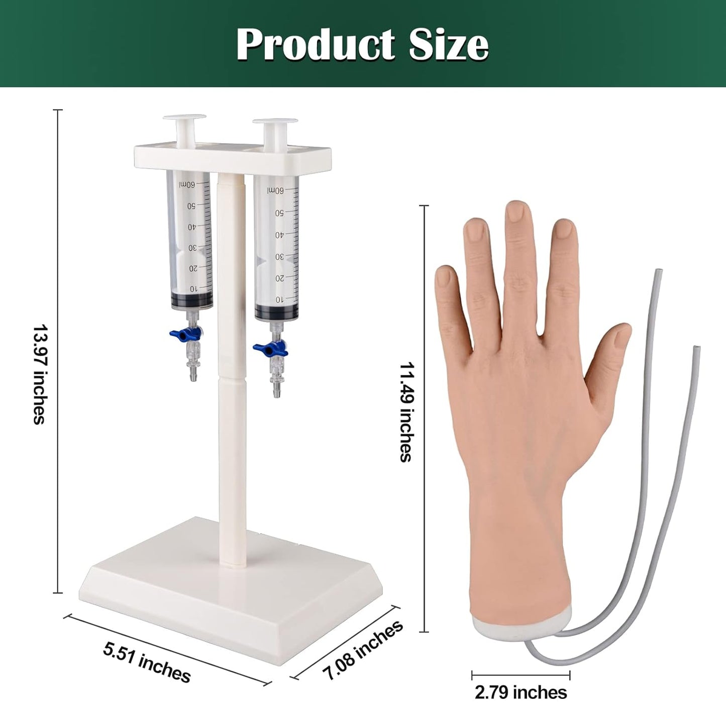 IV Hand Model with Fluid Flow Stand Showing Dimensions