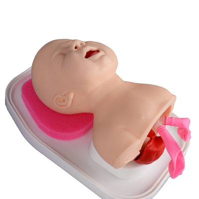 Infant Airway Management Trainer