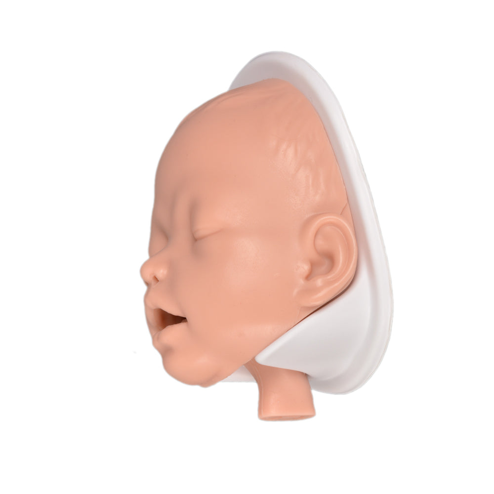 Infant Intubation Simulator