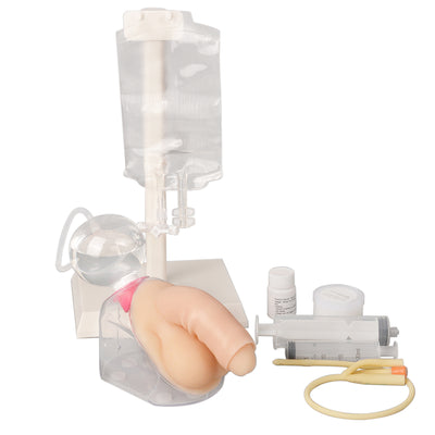 Male Urinary Catheterization Training Model Kit