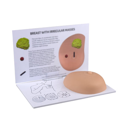 Medical Breast Lump Model For Self Examination