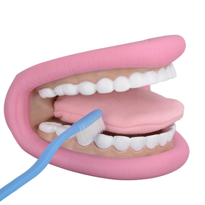 Mouth Puppet for Speech Therapy