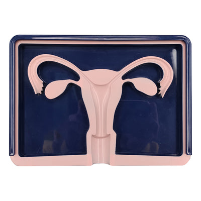 iud-educational-model