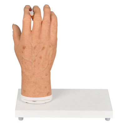Smoker's Hand Simulation Model