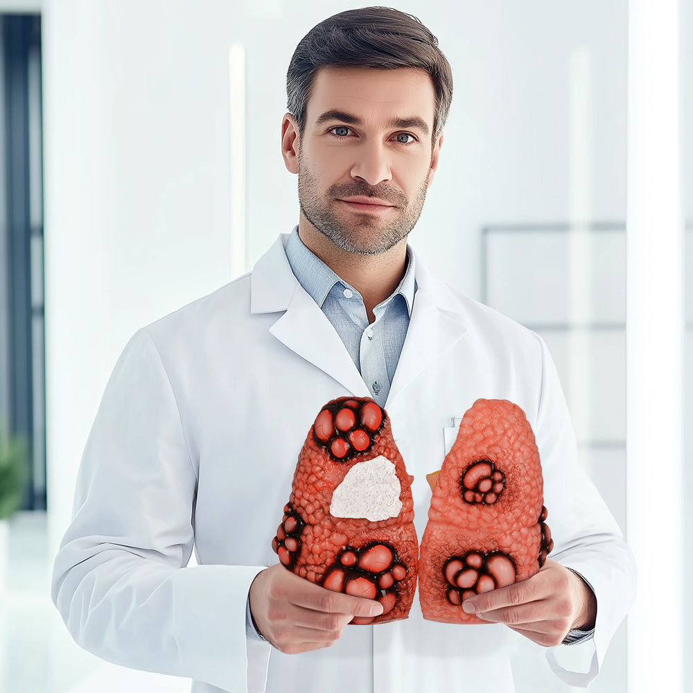 Smoking Lung Model for Education