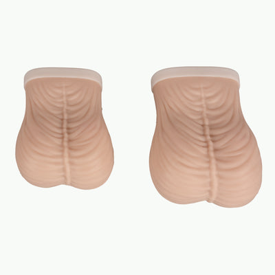 Testicular Self Exam Model