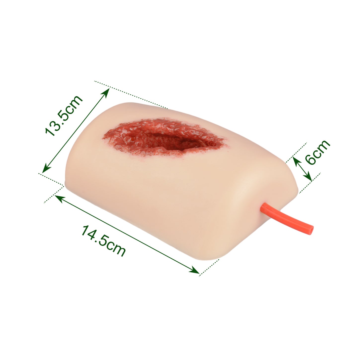 The Product Size of Thigh Wound Simulator