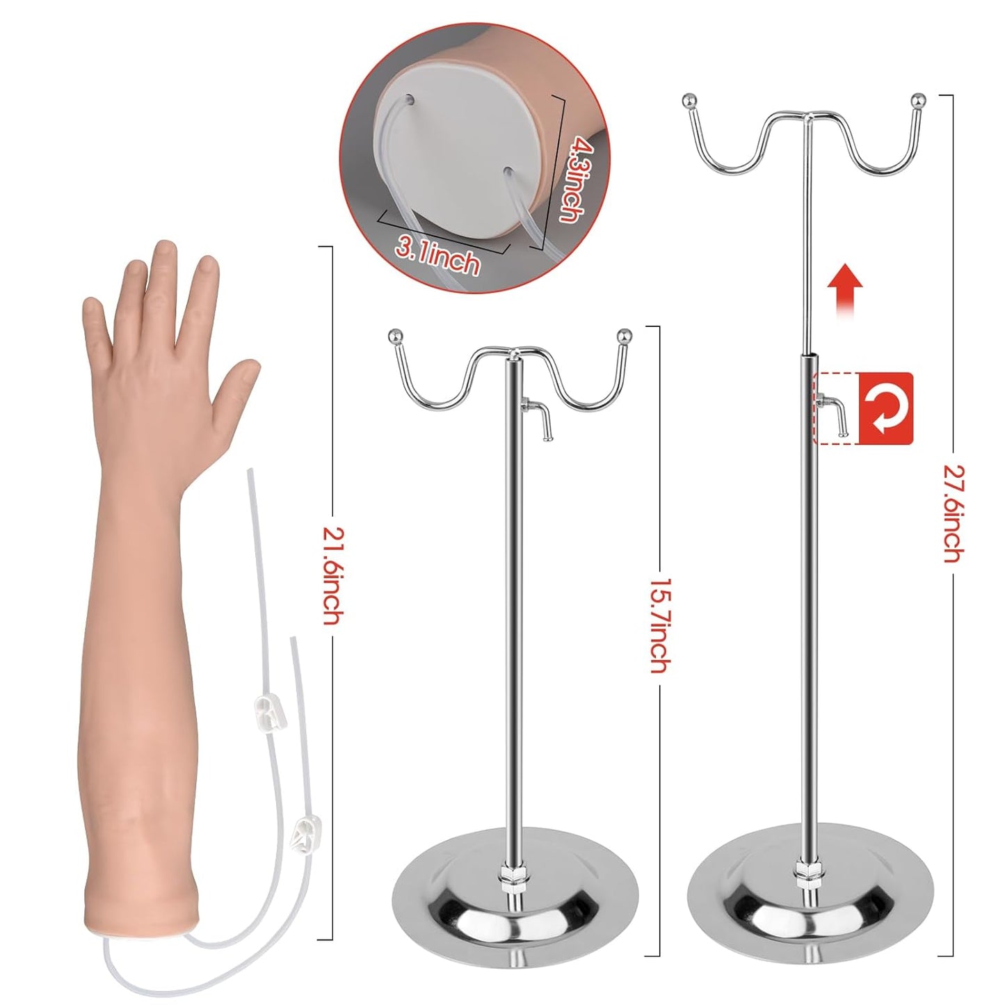 The Size Info of IV & Phlebotomy Practice Arm Kit