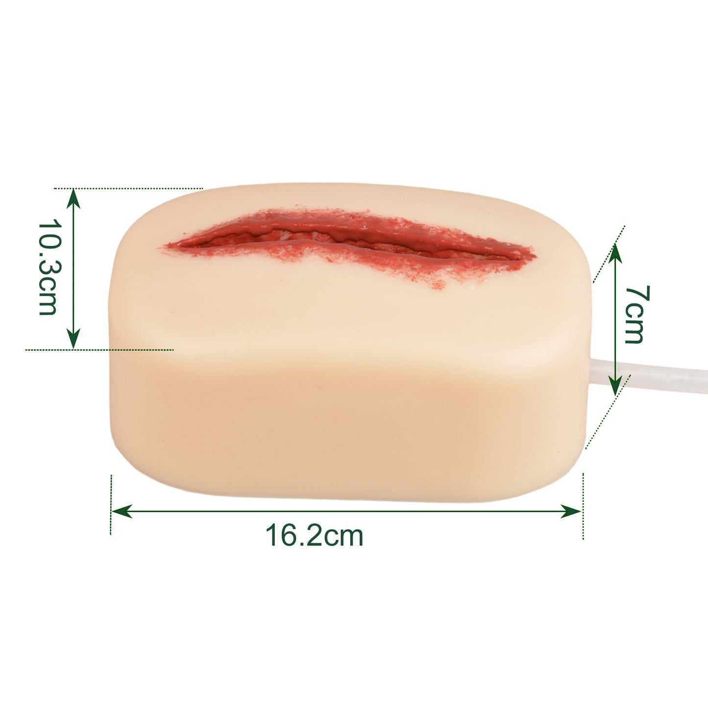 The Size Information of Laceration Wound Trainer