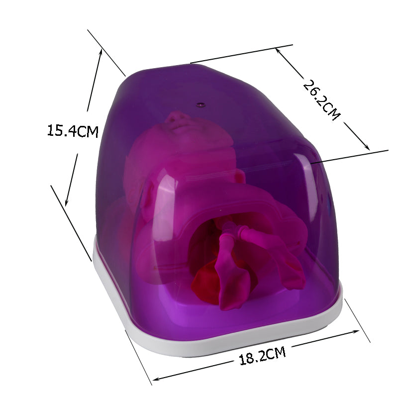 Newborn Airway Management Skills Trainer Size