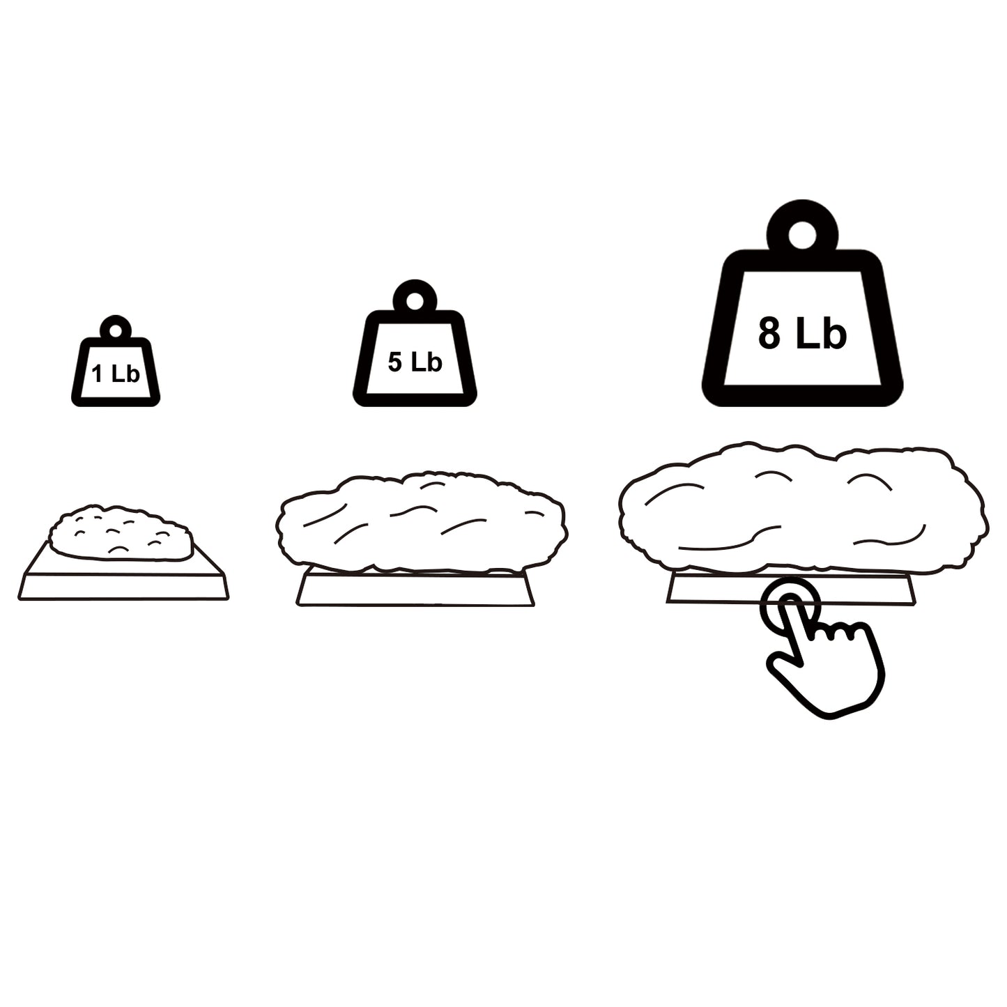 1lb vs 5lb vs 8lb Fat Models