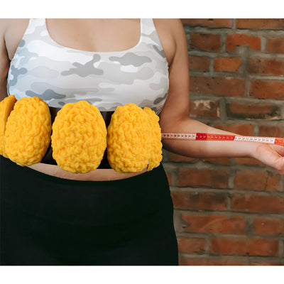 5-lb-fat-replica-set