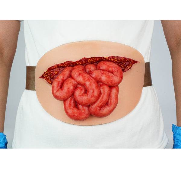 Enhance Medical Training with the Eviscerated Intestine Simulator Wound Moulage