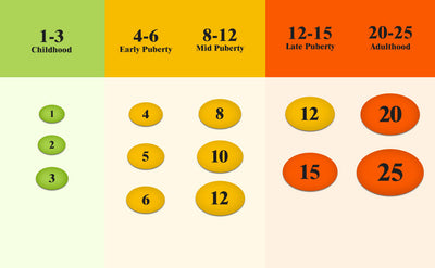 Testicle Size Reference Chart