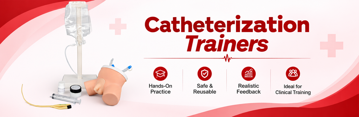 Catheterization Trainers