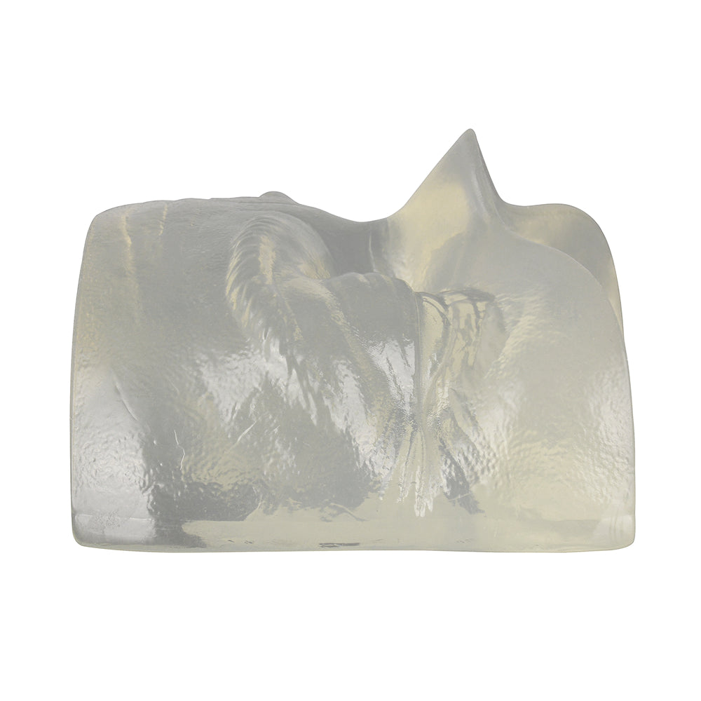 Transparent Eye Area Botox Training Model - [shop_medarchitect]