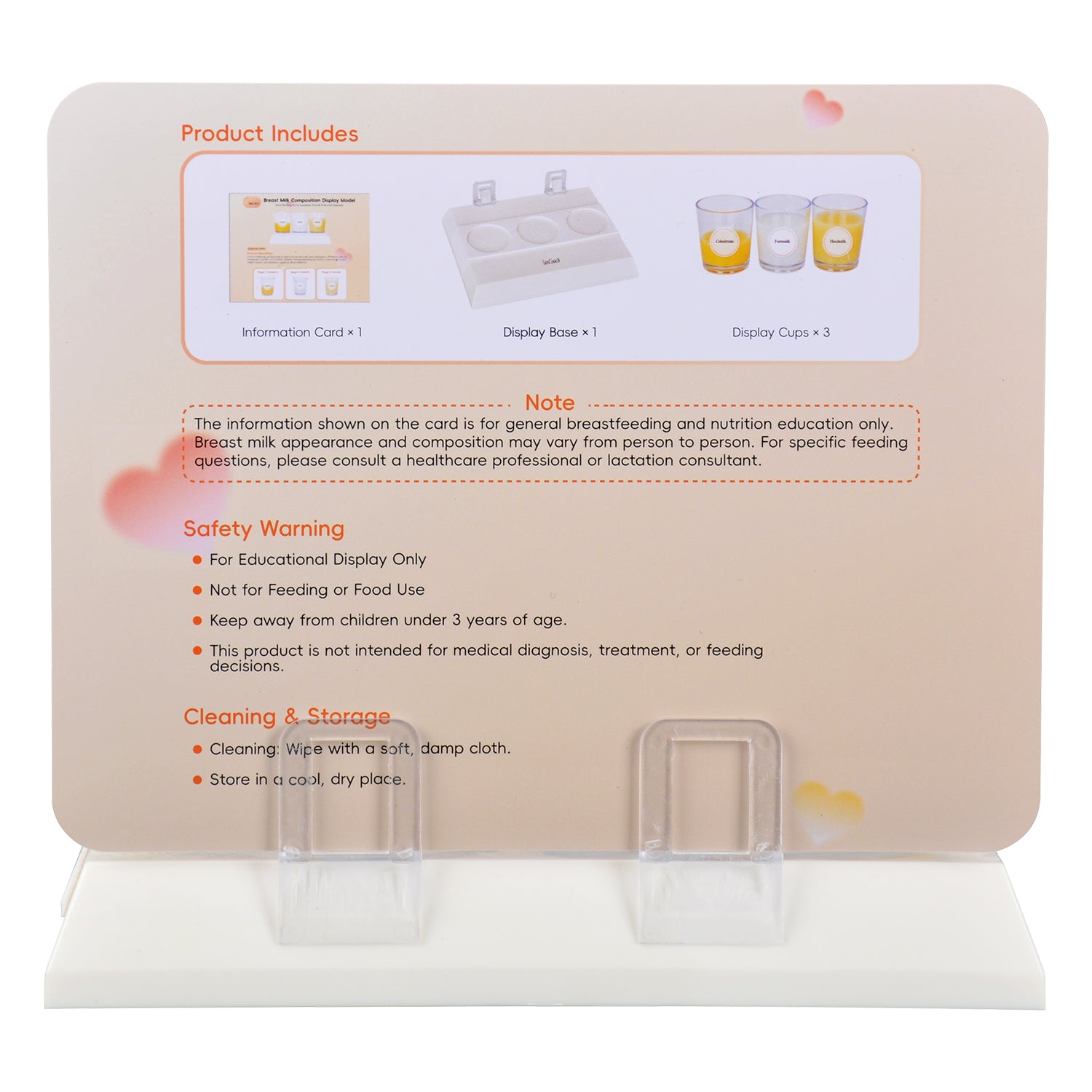 3-Stage Breast Milk Composition Teaching Model