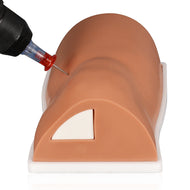 Intraosseous-injection-Simulation Model 