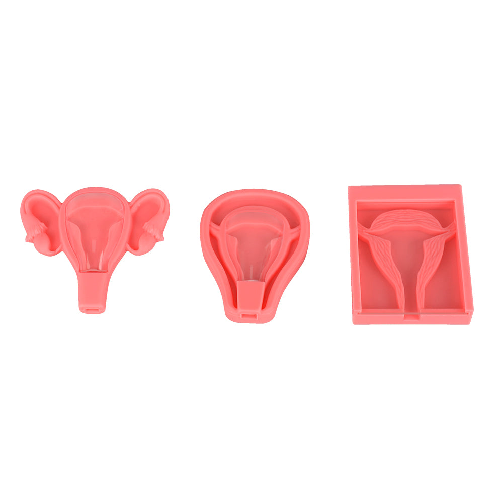 Uterus III – 3D Uterus Intrauterine Device Insertion Trainer - [shop_medarchitect]