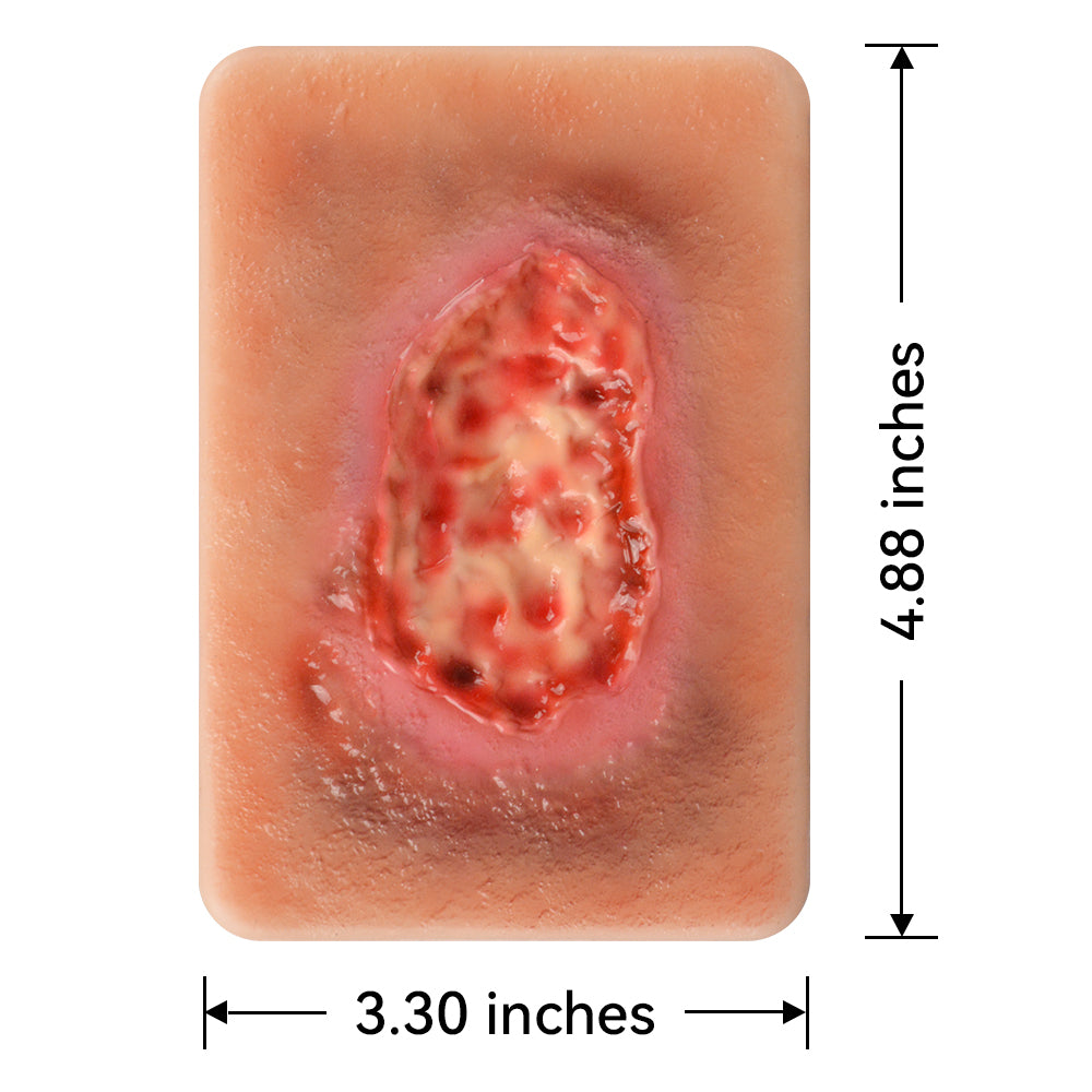 Necrotic Tissue Wound Simulation Model