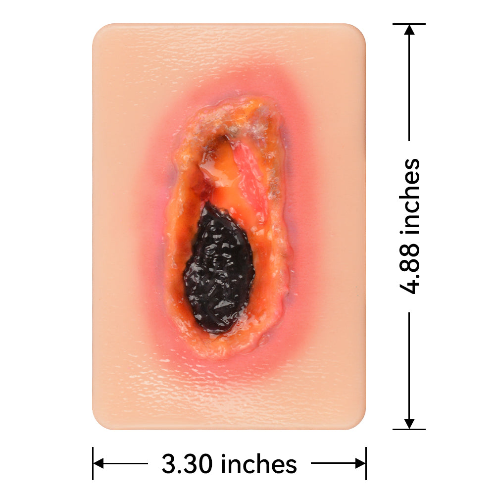 Necrotic Tissue Wound Simulation Model