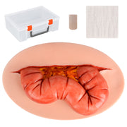 Abdominal Evisceration Trauma Wound Simulator