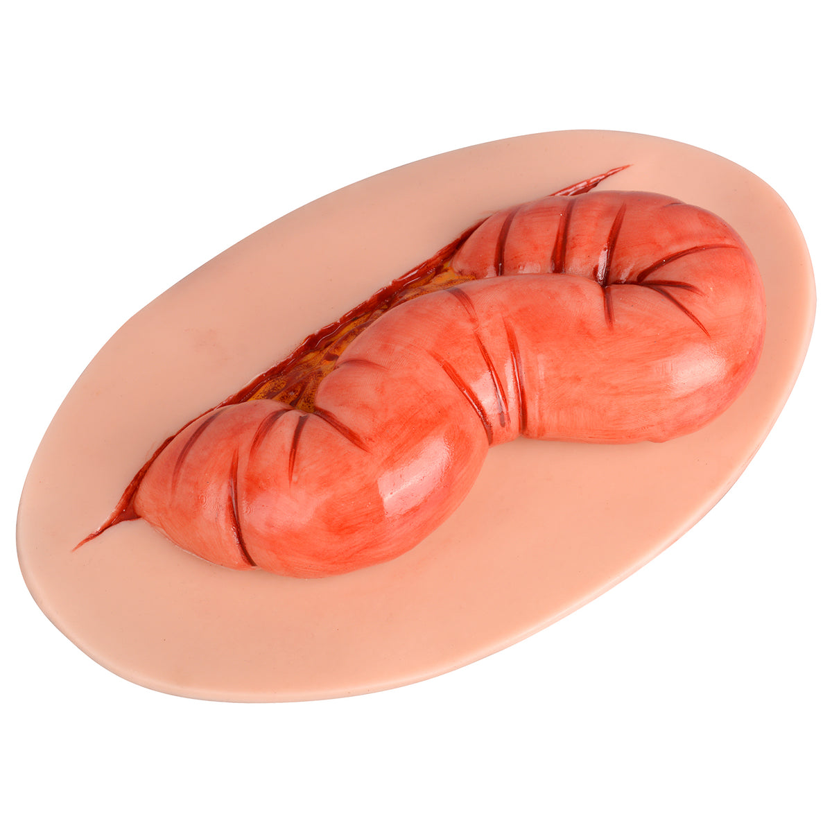 Abdominal Evisceration Trauma Wound Simulator