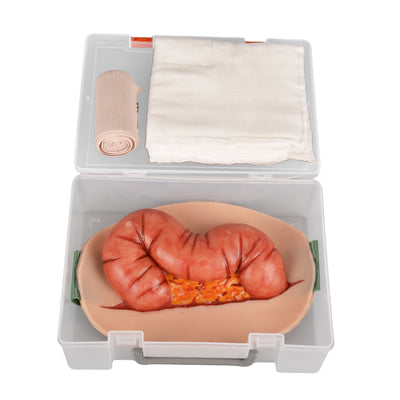 Abdominal Evisceration Wound Simulator with Colon