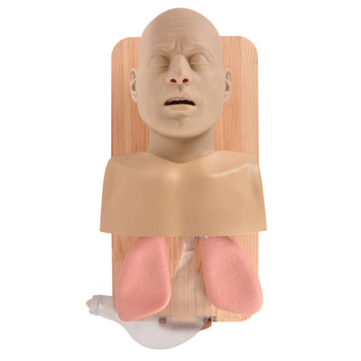 Adult Airway Management Manikin for Intubation and Ventilation
