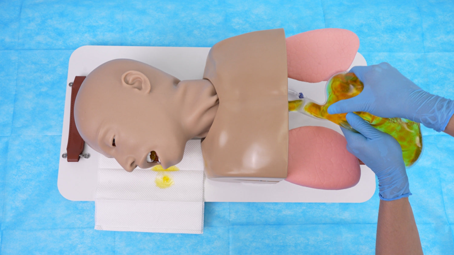Adult Airway Management Trainer Vomiting Simulation