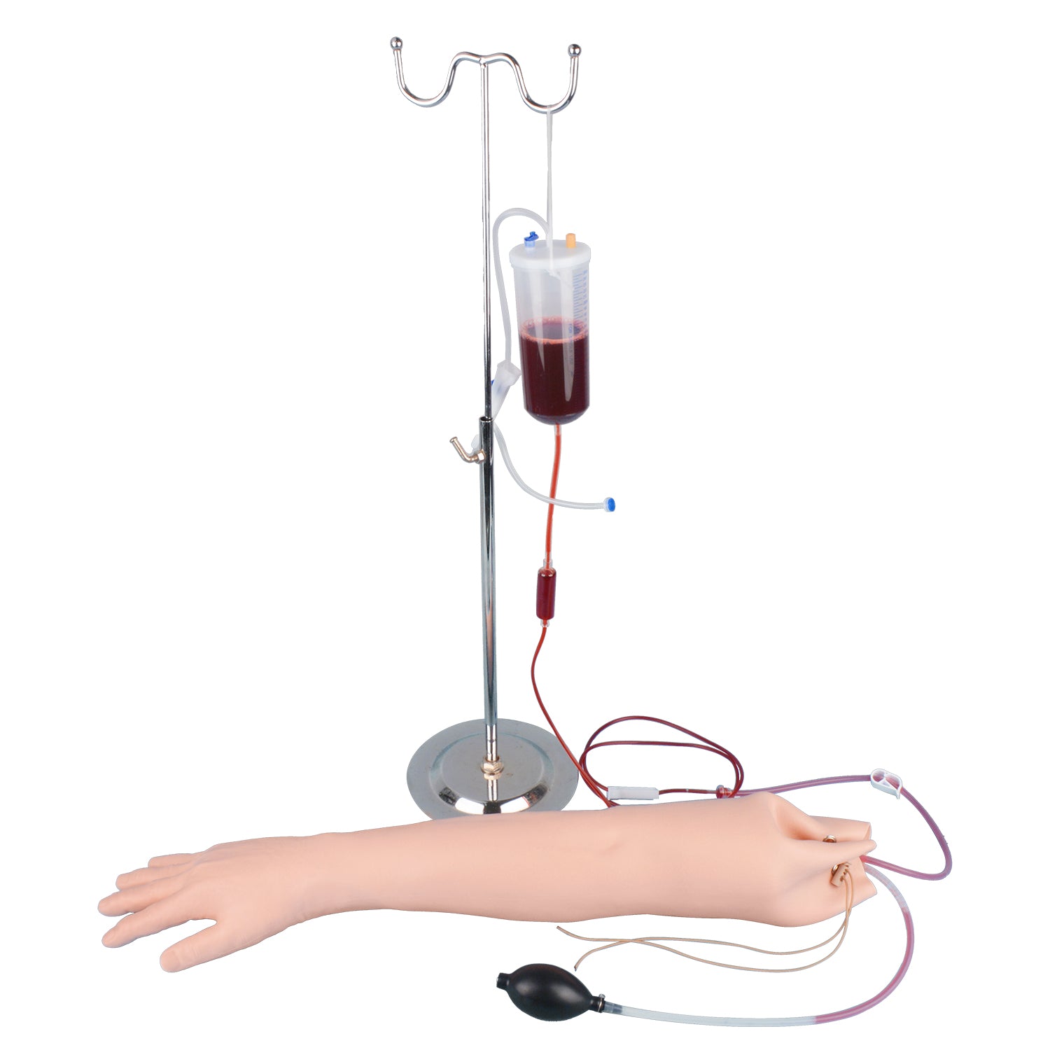 Adult Full-Length Arterial Arm Model for Training