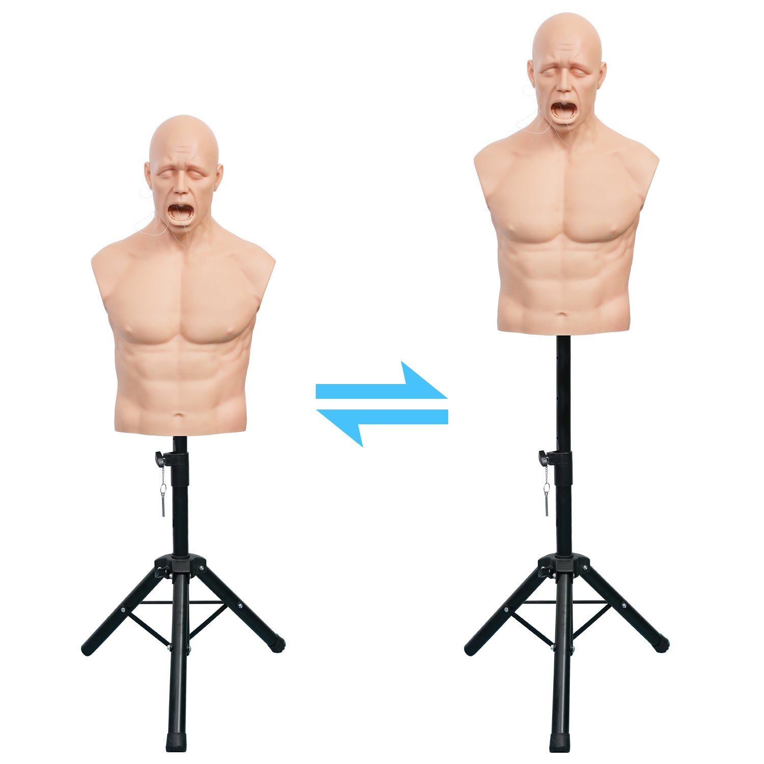 Adult Heimlich Maneuver Training Manikin