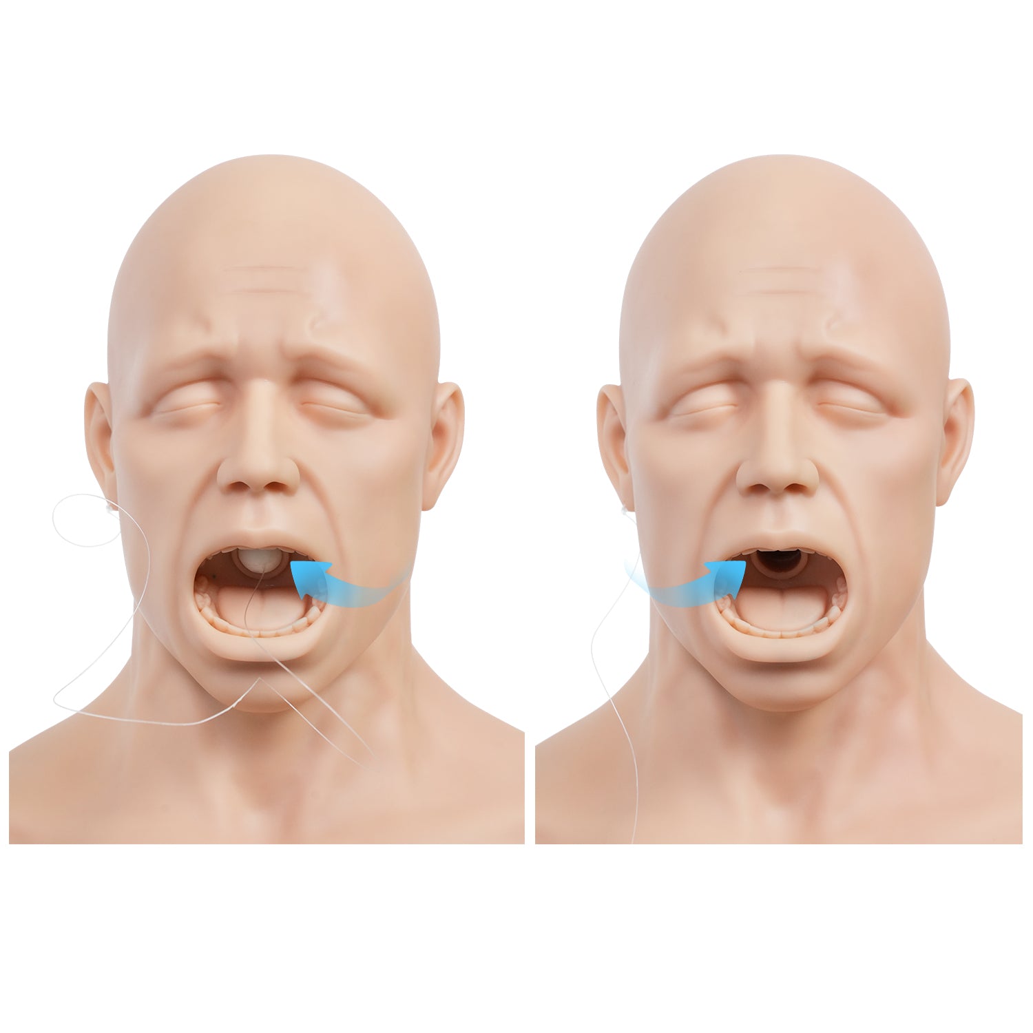 Adult Heimlich Maneuver Training Manikin