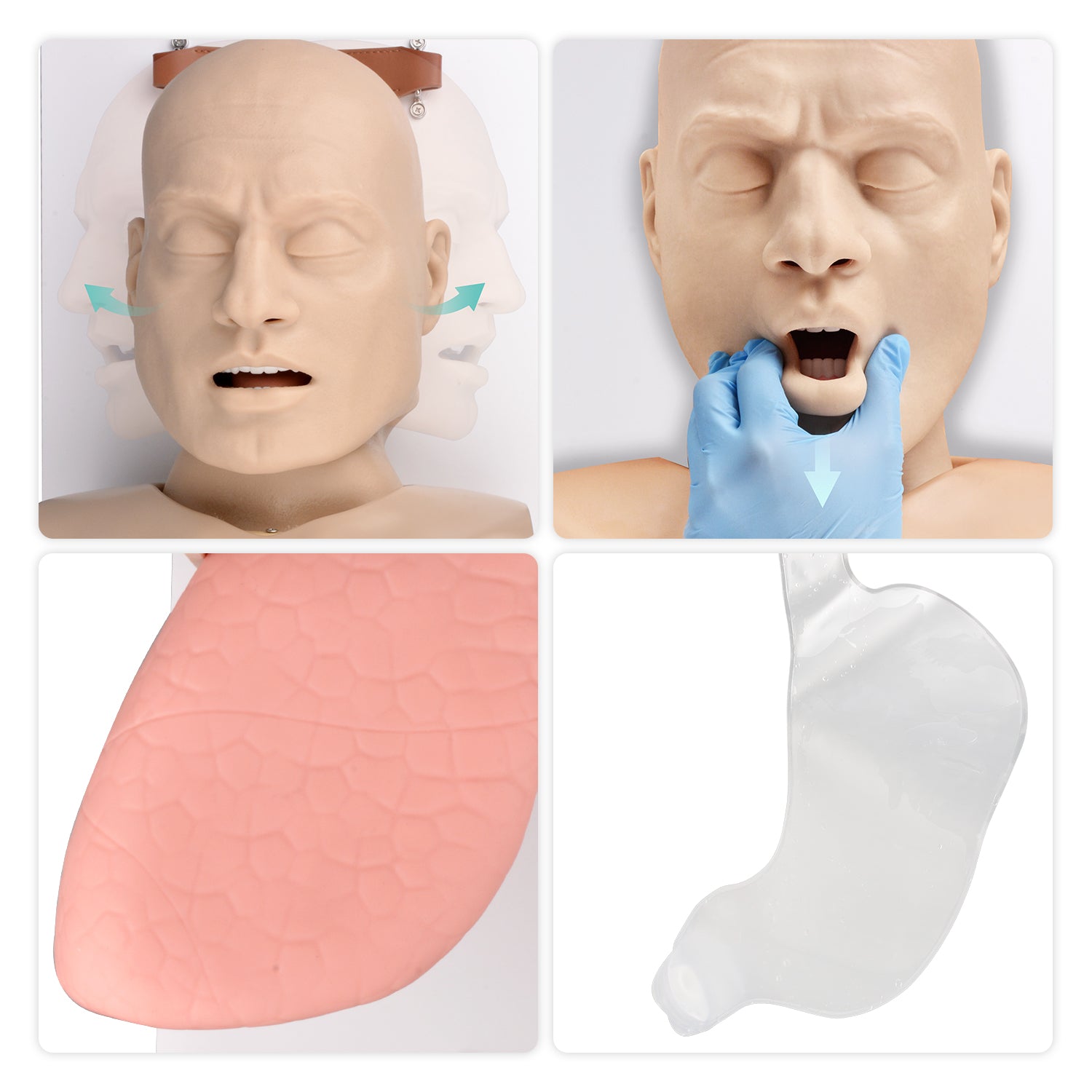 Adult Intubation Training Manikin Realistic Airway Anatomy