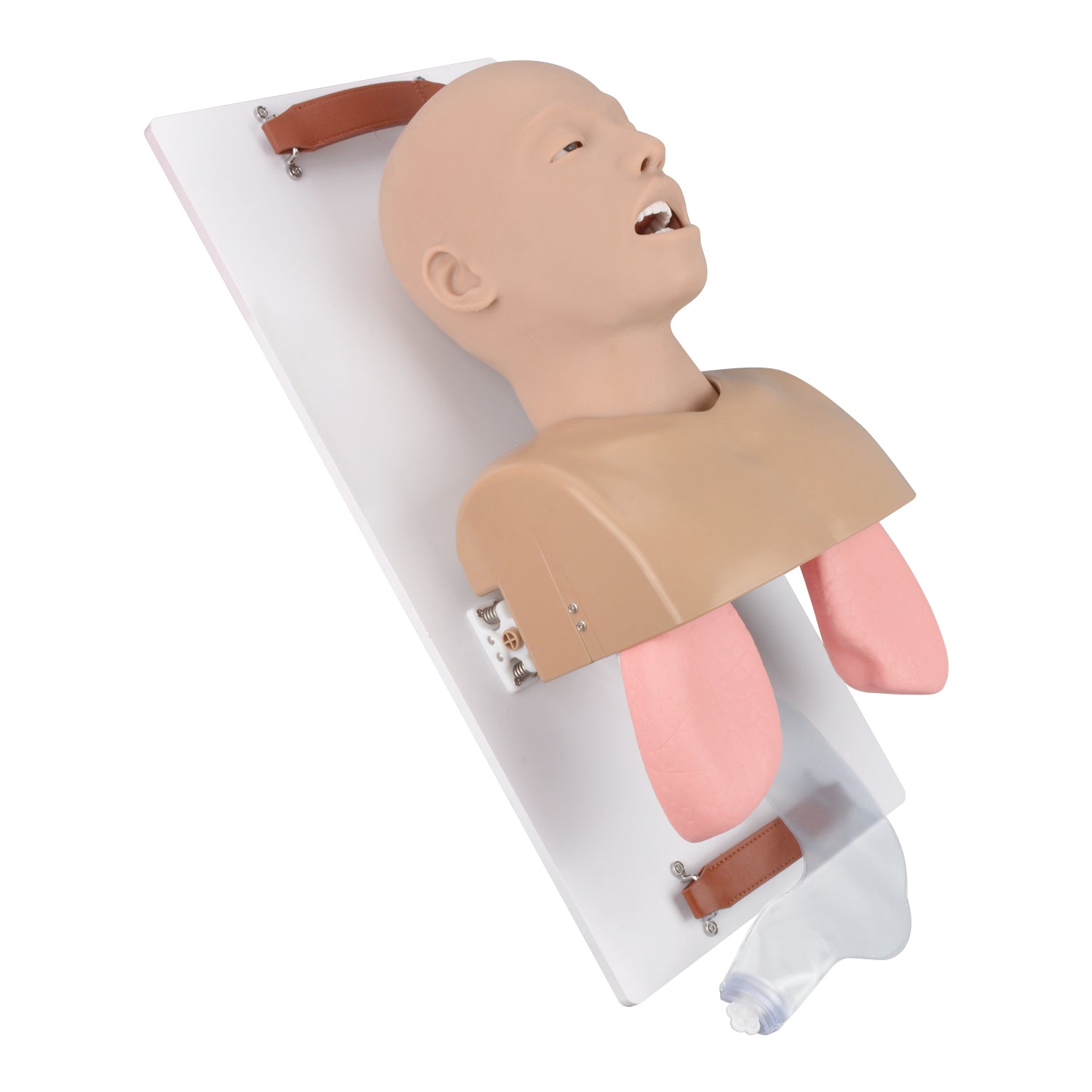 Advanced Adult Airway Management Manikin Trainer with Board