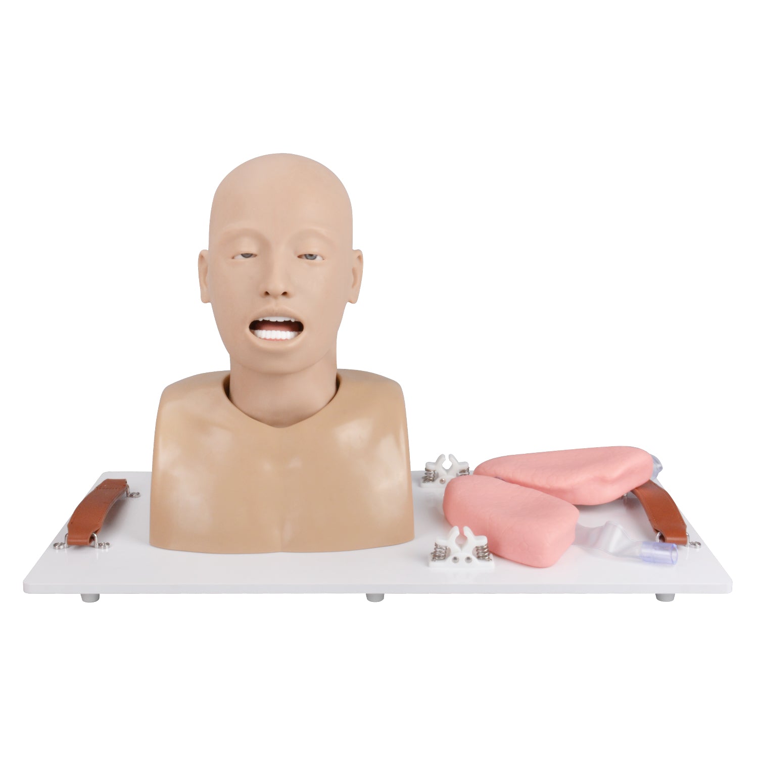 Advanced Adult Airway Management Trainer Quick Setup