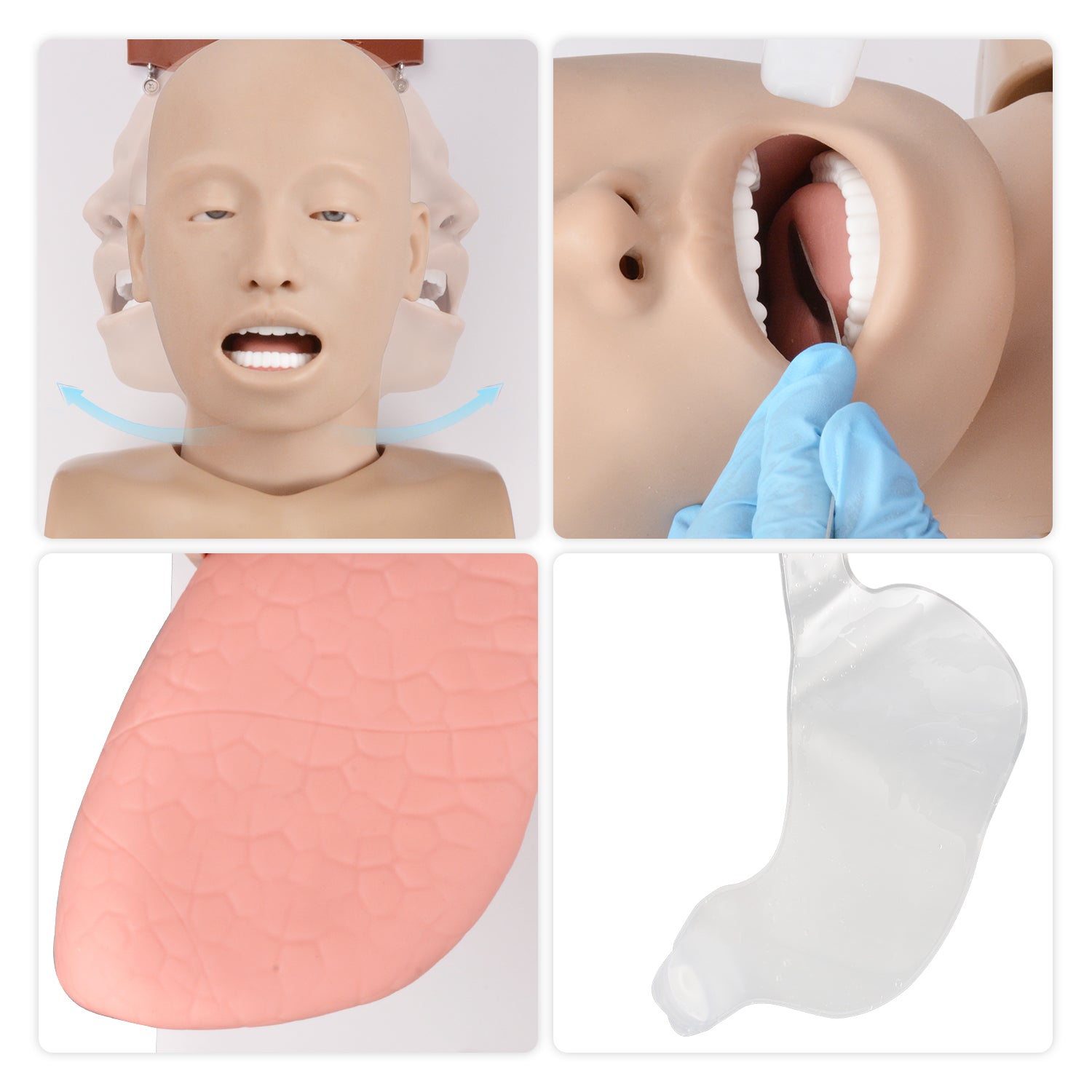 Advanced Adult Airway Management Trainer Realistic Details