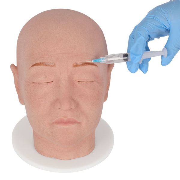 Facial Injection Training Model for Aesthetic Medicine Training