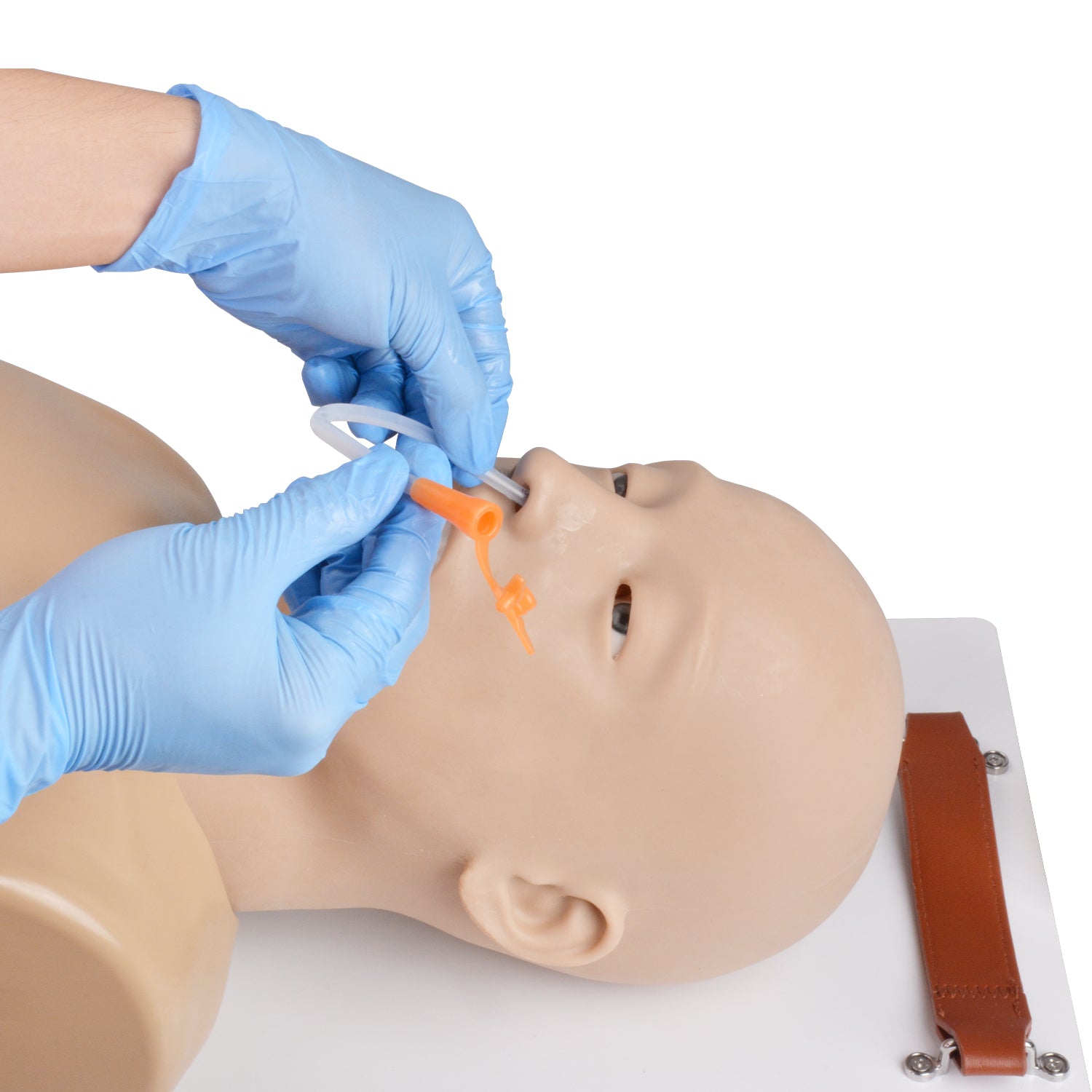 Airway Management Manikin Intubation Training