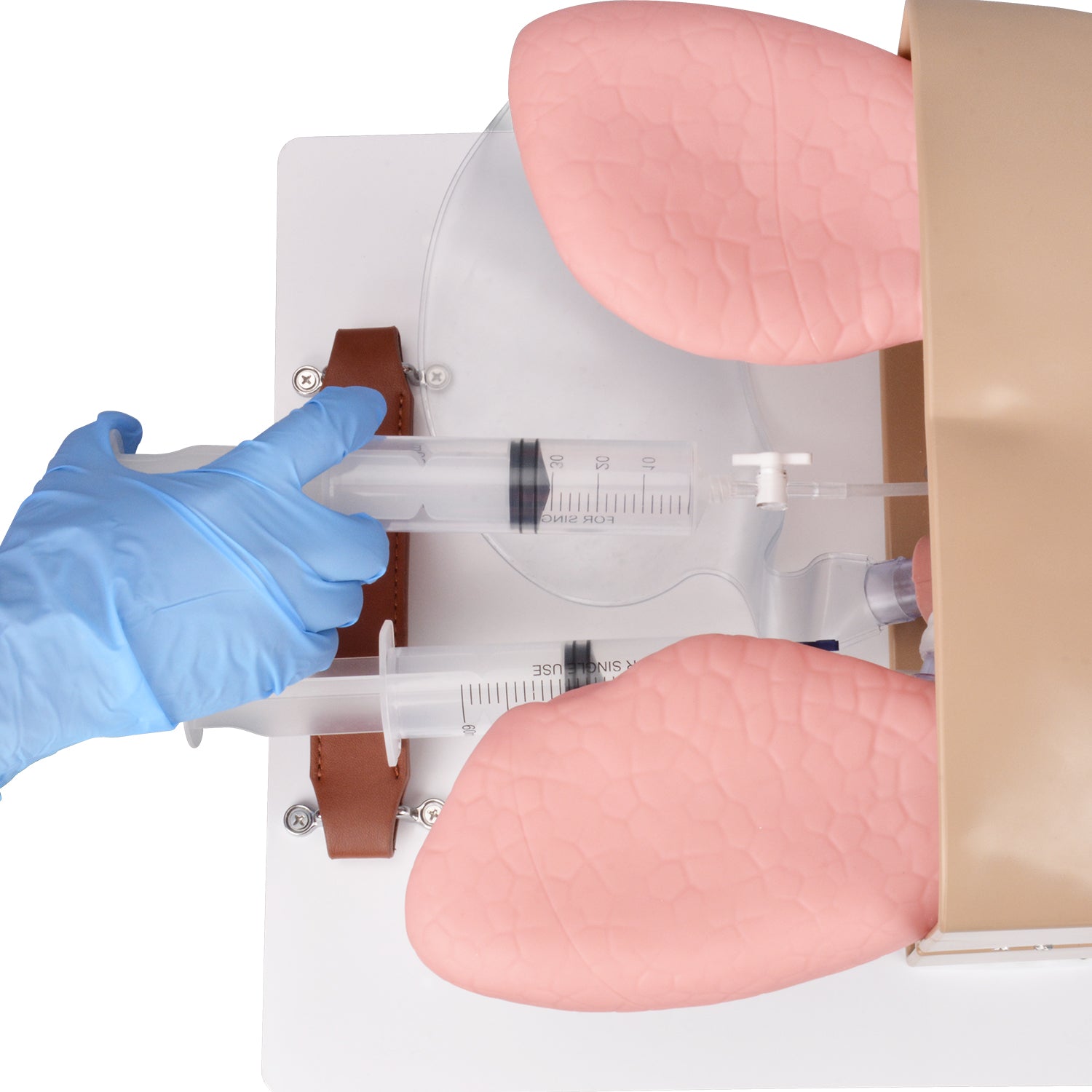Airway Management Trainer Difficult Airway Simulation